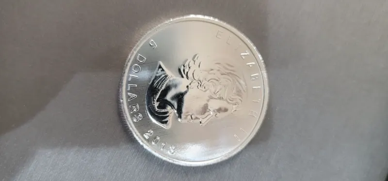 Canadian Silver Maple Leaf coin at Apex Gold Silver Coin, Winston-Salem