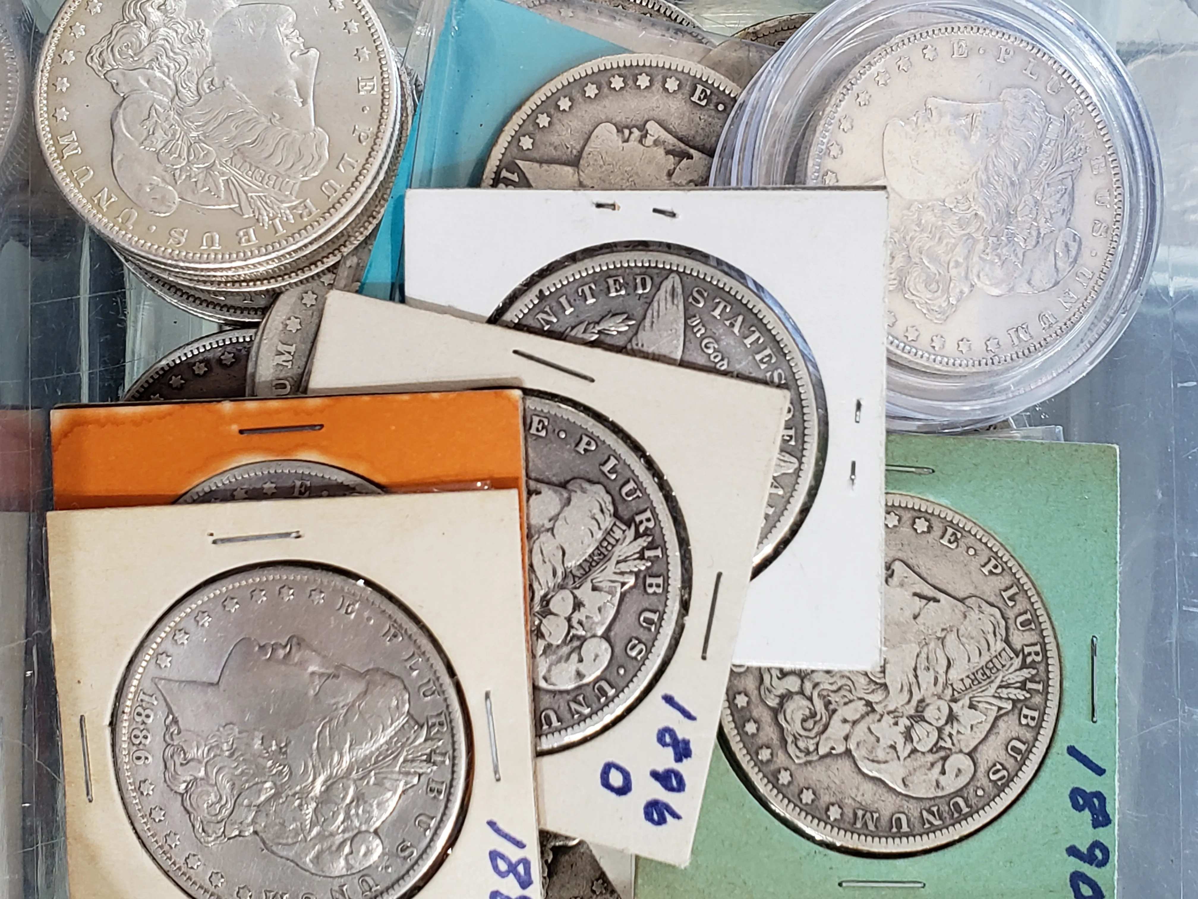 Morgan silver dollars in flips and capsules at Apex Gold Silver Coin in Winston-Salem