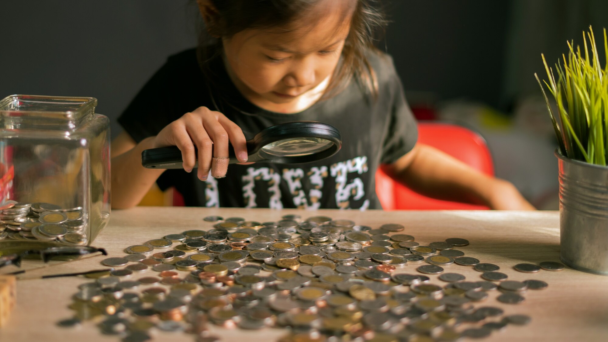 Unlocking the World of Coin Collecting: The Impact of Educational Workshops